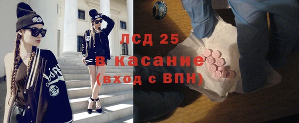 сатива Верея