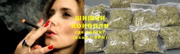 сатива Верея