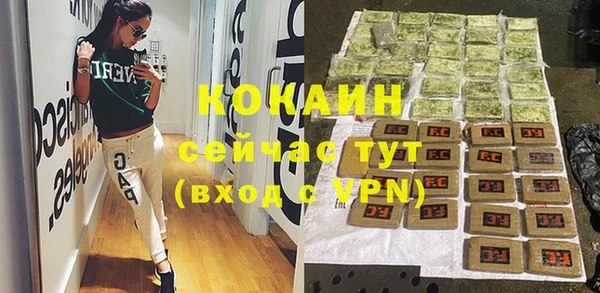 амф Верхний Тагил