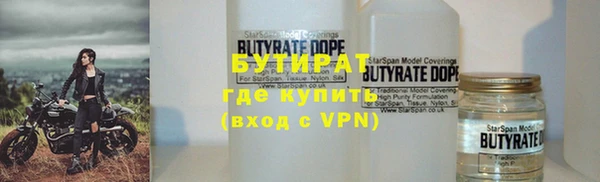сатива Верея