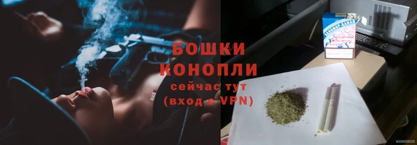 сатива Верея