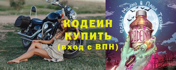 амф Верхний Тагил