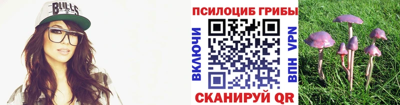 Галлюциногенные грибы мицелий Бердск